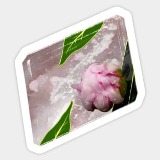 Spring Musings - Peony Bud Sticker